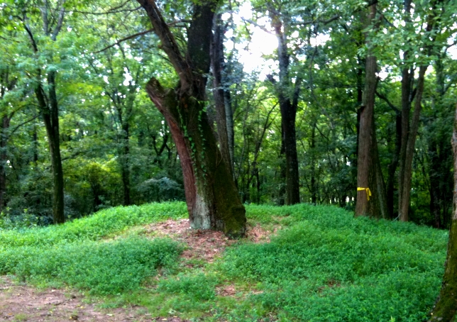 Tanasi Mound